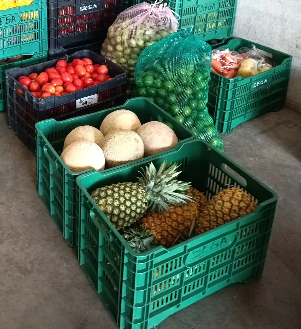 Cajas SEGA con jitomate, limón, melón y piña listas para entregar