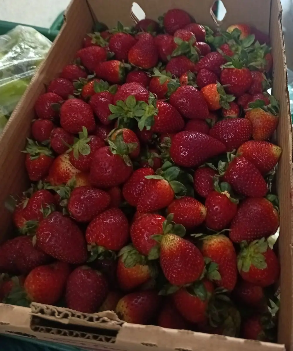 Caja de fresas frescas